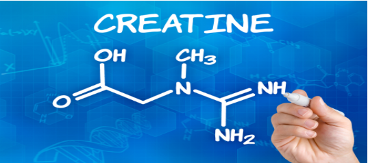 Things you never thought to ask about creatine