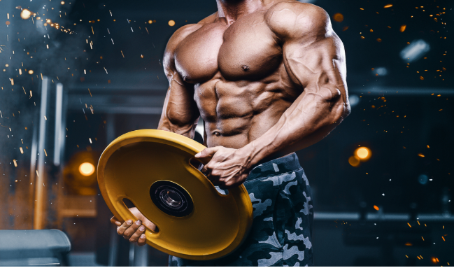 Top 3 Reasons Why Creatine Monohydrate Is One of the Best Bodybuilding Supplements